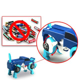 Dawson Dog Transforming